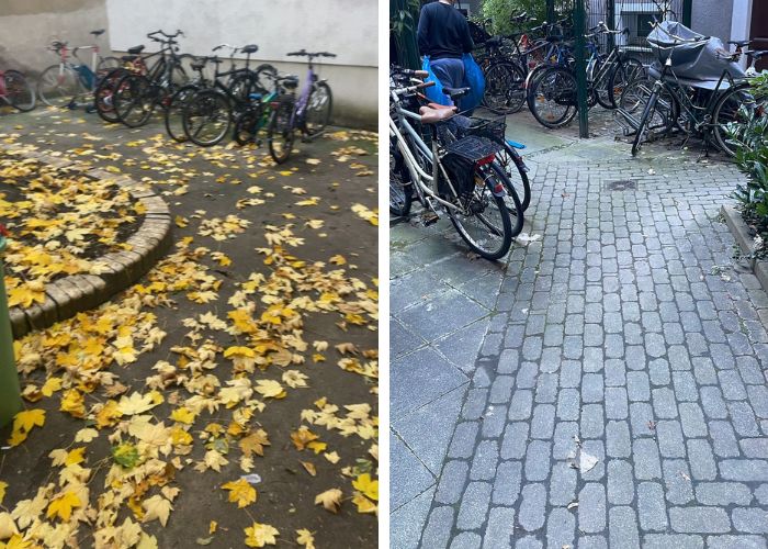 Referenz 11 – Erfolgreiches Reinigungsprojekt in Charlottenburg-Nord